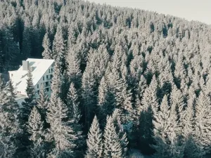 Prodej bytu 3+kk, Loučná pod Klínovcem, 60 m2