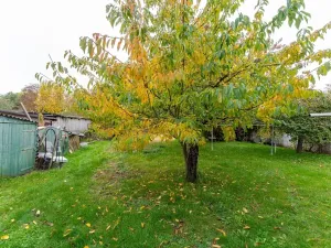 Prodej pozemku pro bydlení, Velká Kraš, 1290 m2