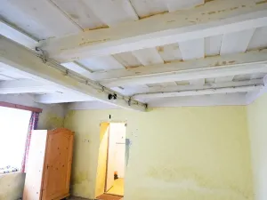 Prodej chalupy, Přílepy, 280 m2