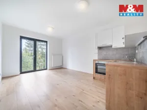Pronájem bytu 1+kk, Třemošná, Školní, 32 m2