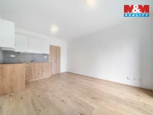 Pronájem bytu 1+kk, Třemošná, Školní, 32 m2
