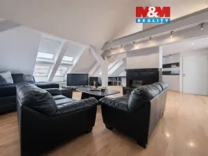 Prodej rodinného domu, Brno, Jílová, 379 m2