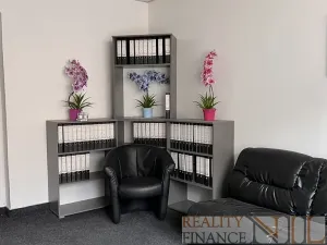 Pronájem obchodního prostoru, Plzeň, Tylova, 55 m2