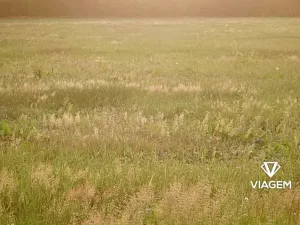 Prodej pole, Blatno, 7300 m2