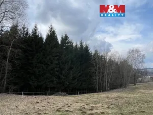 Prodej lesa, Košťálov - Kundratice, 4244 m2