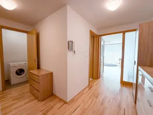 Pronájem bytu 1+kk, Praha - Žižkov, Ke kapslovně, 53 m2