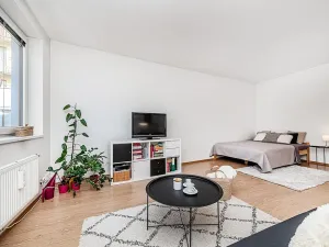 Prodej bytu 1+kk, Praha - Libeň, Březenská, 49 m2