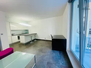 Pronájem bytu 1+kk, Brno, Cihlářská, 38 m2