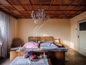 Prodej rodinného domu, Třebusice, 470 m2