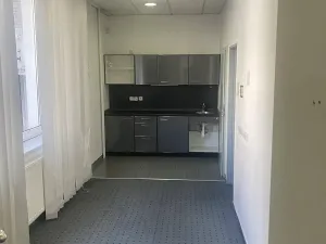 Pronájem obchodního prostoru, Tábor, Světlogorská, 163 m2