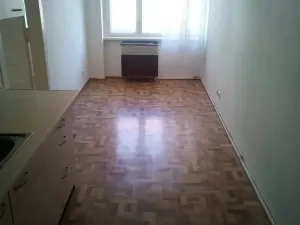 Pronájem bytu 1+1, Praha - Žižkov, Hájkova, 40 m2