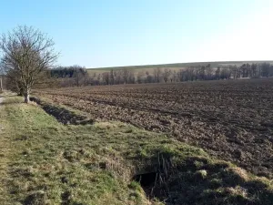 Prodej pozemku pro bydlení, Libina, 1382 m2