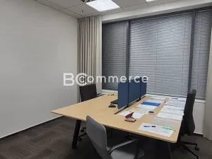 Pronájem kanceláře, Brno, Holandská, 240 m2