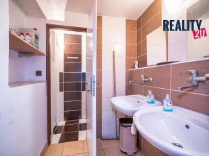 Prodej chalupy, Brod nad Dyjí, 236 m2