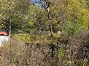 Dražba chaty, Polevsko, 125 m2