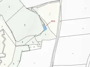 Dražba louky, Žižkovo Pole, 212 m2