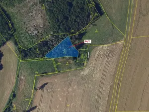 Dražba lesa, Žižkovo Pole, 909 m2