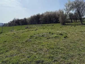 Prodej pozemku pro bydlení, Letovice, 853 m2