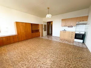 Prodej bytu 1+kk, Plzeň - Severní Předměstí, Hodonínská, 31 m2