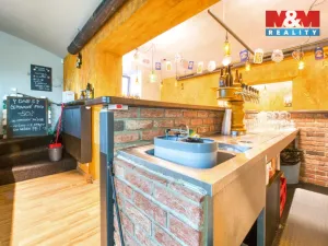 Pronájem restaurace, Plzeň - Jižní Předměstí, Americká, 102 m2