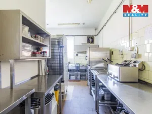 Prodej restaurace, Slezské Rudoltice, 360 m2