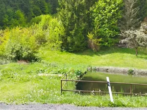 Prodej pozemku pro bydlení, Tanvald, 7310 m2