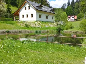 Prodej pozemku pro bydlení, Tanvald, 7310 m2