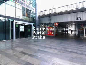 Pronájem obchodního prostoru, Praha - Krč, Olbrachtova, 200 m2