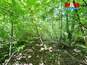 Prodej rybníku, Skalice u České Lípy, 3255 m2