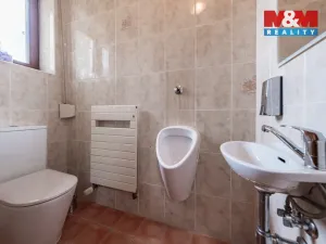 Pronájem rodinného domu, Říčany, Želivská, 232 m2