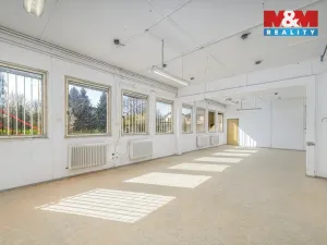 Prodej obchodního prostoru, Čáslav - Čáslav-Nové Město, Chrudimská, 900 m2