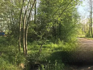 Prodej pozemku pro bydlení, Dobříkov, 1247 m2