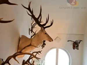 Prodej rodinného domu, Domašov nad Bystřicí, Nádražní, 640 m2