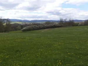 Prodej pozemku, Staré Město - Nová Véska, 10063 m2