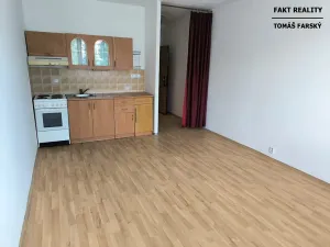 Pronájem bytu 1+kk, Děčín, Želenická, 25 m2