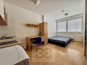 Pronájem bytu 1+kk, Brno, Cejl, 22 m2