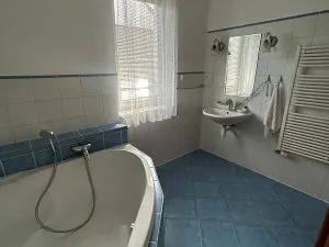 Pronájem rodinného domu, Písek, V Lukách, 400 m2