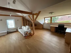 Pronájem rodinného domu, Písek, V Lukách, 400 m2