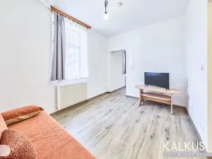 Prodej bytu 2+1, Svoboda nad Úpou, Nový svět, 38 m2