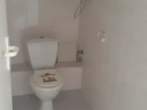 Dražba bytu 3+1, Milovice, Lesní, 113 m2