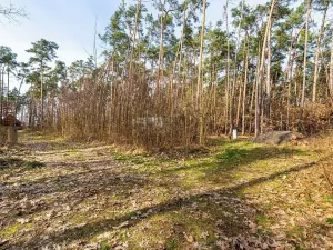 Prodej pozemku pro bydlení, Hradištko, Kersko, 4428 m2