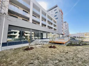 Pronájem bytu 1+kk, Praha - Vysočany, Poděbradská, 33 m2