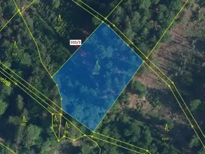 Dražba lesa, Jílové u Držkova, 2349 m2