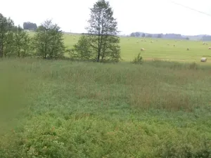 Dražba pozemku, Jablonné v Podještědí, 4685 m2