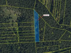 Dražba lesa, Vracov, 1702 m2