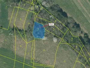 Dražba lesa, Psárov, 1251 m2