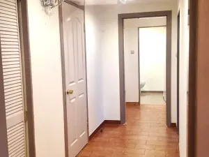 Prodej obchodního prostoru, Praha - Nusle, Na Jezerce, 74 m2