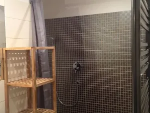 Prodej obchodního prostoru, Praha - Nusle, Na Jezerce, 74 m2