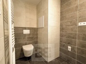 Pronájem bytu 2+kk, Plzeň, Sladová, 55 m2