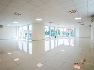 Pronájem komerční, Hradec Králové - Slezské Předměstí, Víta Nejedlého, 300 m2